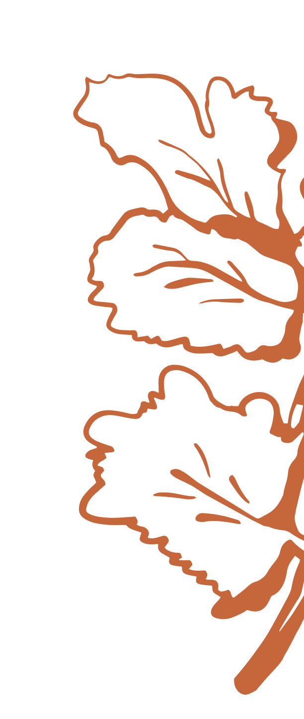 Hand-drawn illustration of fresh green leaves