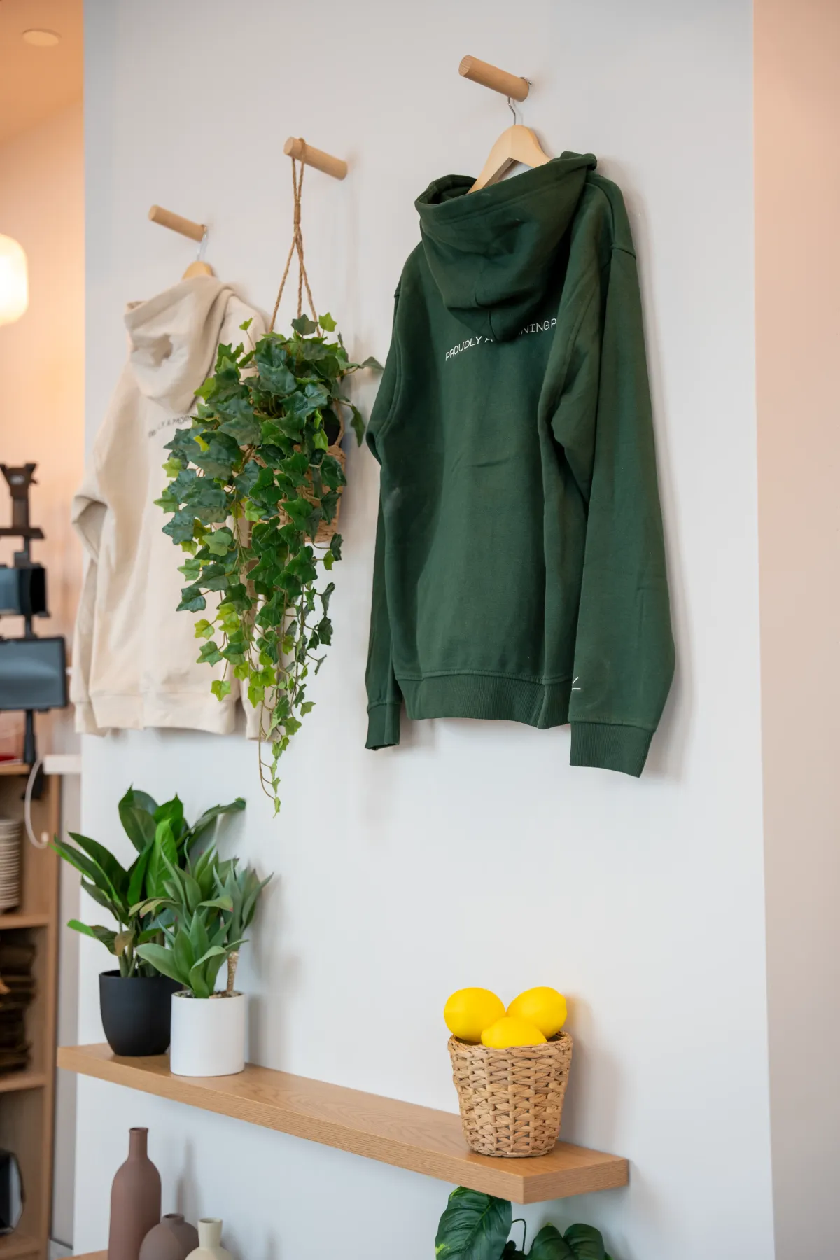 Eggstatic green “Morning Person” hoodie on the wall with a hanging plant and a basket of lemons