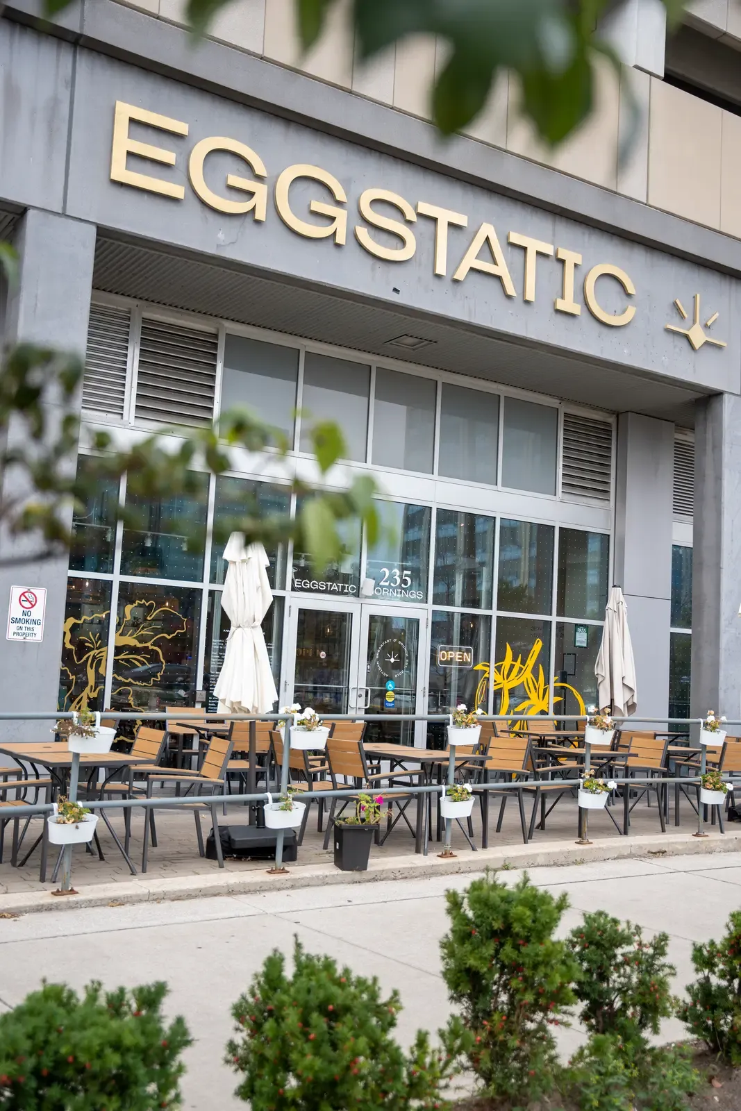 Eggstatic Scarborough restaurant photo 4