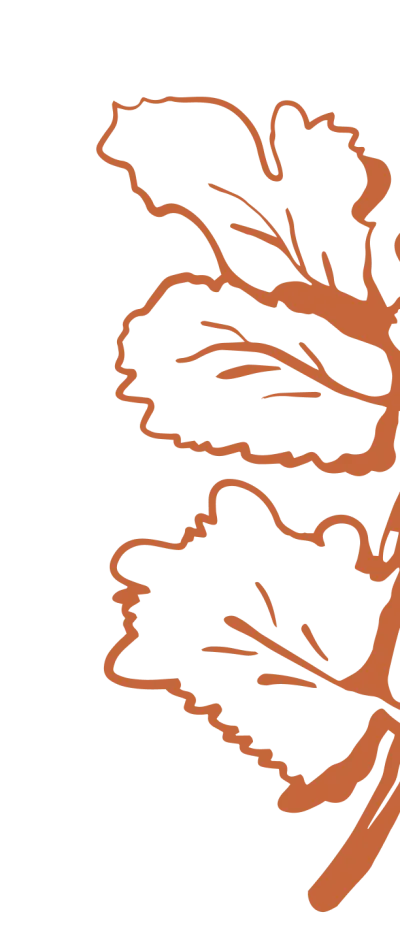 Hand-drawn illustration of fresh green leaves